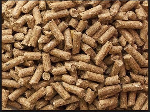 non-gmo-soyabean-meal-high-protein