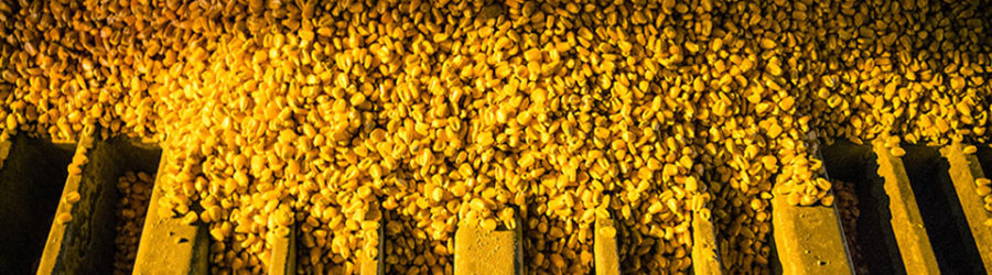 corn-germ-meal alt="corn-germ-meal"